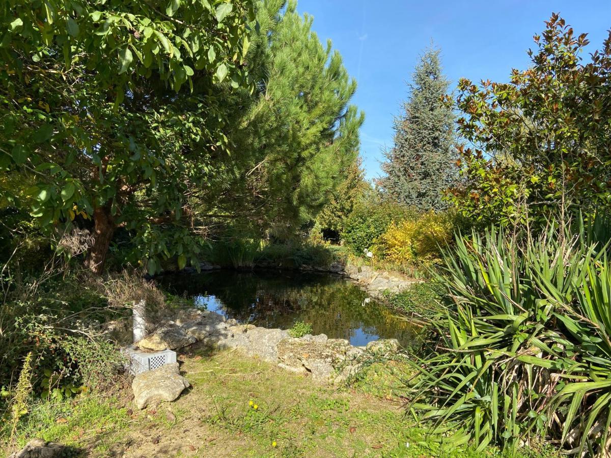 La Charmeraie : Gite De Charme, Piscine Et Spa Thésée Eksteriør billede