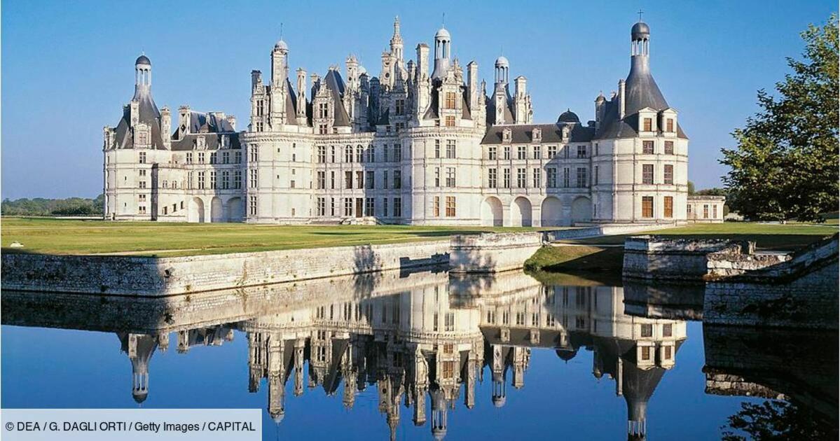 La Charmeraie : Gite De Charme, Piscine Et Spa Thésée Eksteriør billede
